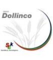 Semilla de Trigo Dollinco certificado