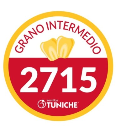 Semilla de Maíz tuniche 2715 desinfectada