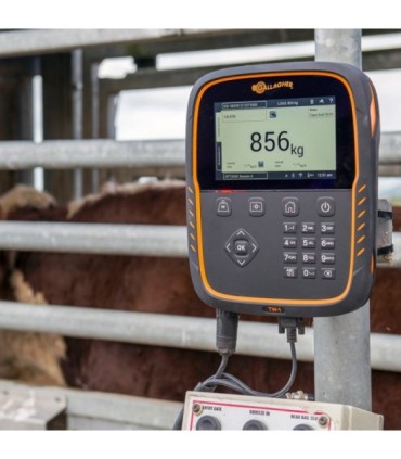 Monitor de pesaje Tw1
