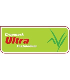 Semilla Festulolium Ultra Importada Certificada