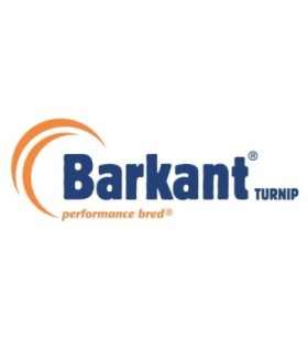 Semillas de Nabo Forrajero Barkant Importado desinfectado