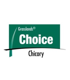 Semilla Achicoria Forrajera Choice Importada Certificada