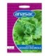 Semilla Lechuga Escarola 5 Grs