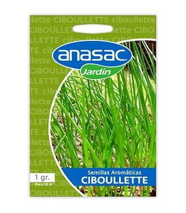 Semilla Ciboullete 1 Grs