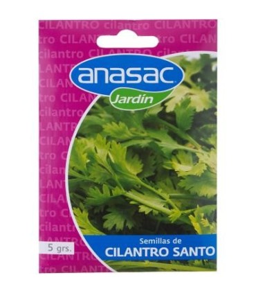 Semilla Cilantro Santo 5 Grs