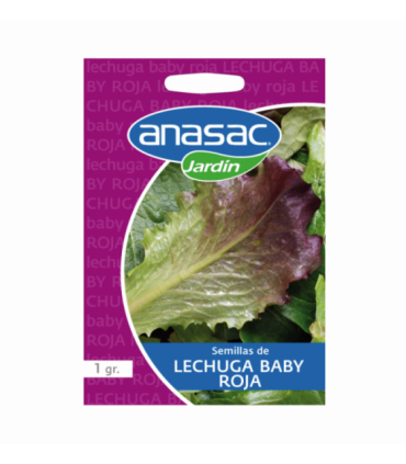 Semilla Lechuga Baby Roja, 1 Grs