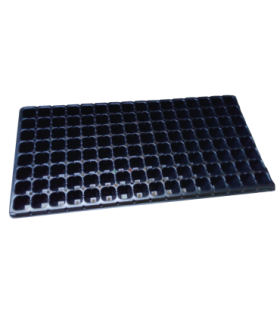 Almaciguera de 162 Cavidades