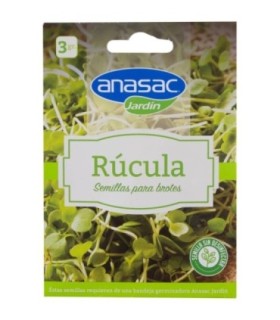 Semilla Brotes de Rúcula 3 Grs