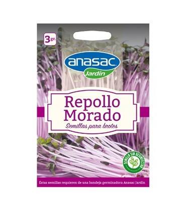 Semilla Brotes de Repollo Morado 3 Grs