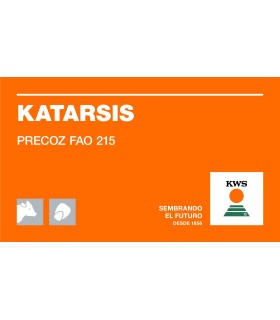 Semilla de Maíz KWS Katarsis desinfectado