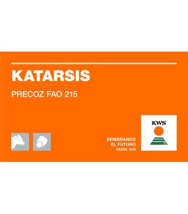 Semilla de Maíz KWS Katarsis desinfectado