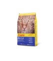 Josera Daily Cat 2 kgs - Gato Adulto - Sensibilidad Digestiva