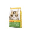 Josera Kitten Grain Free 2 kgs - Gato Cachorro