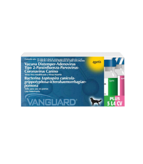 Vacuna Caninos Vanguard Sextuple - 25 Dosis
