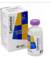 Caninsulin frasco 10 ml