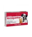 Vermiquantrel 50 mg - 1 comprimido