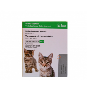 Vacuna mascota Quantum Felv gato - 5 dosis