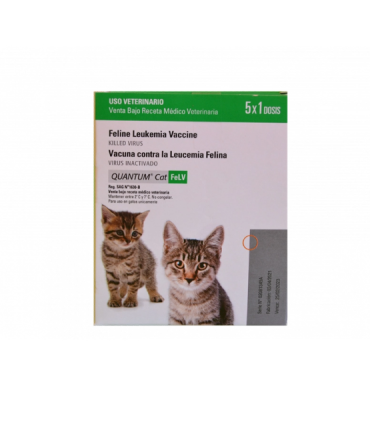 Vacuna mascota Quantum Felv gato - 5 dosis