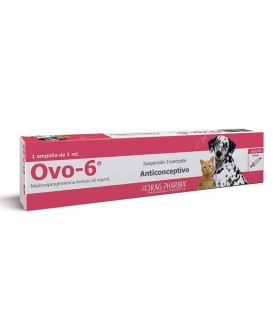 Ovo 6 ampolla