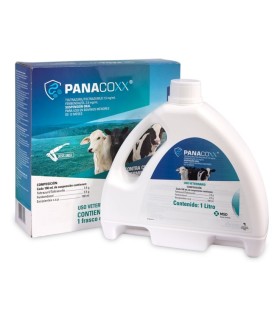 Panacoxx Litro