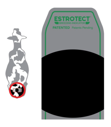Parche detección celos ESTROTECT rojo (50 und.)