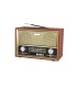 Radio Retro Audio - Pro Bt/Fm/Recargable AP2082