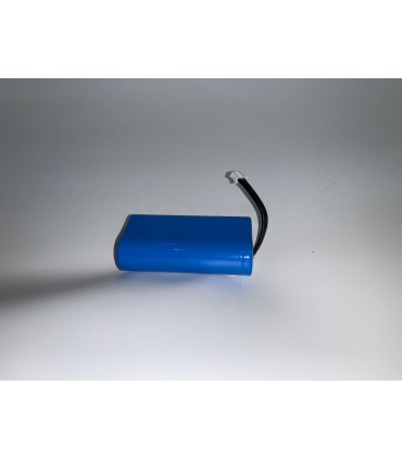 Bateria bastón Tru-Test