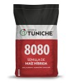 Semilla de Maíz tuniche 8080 desinfectada
