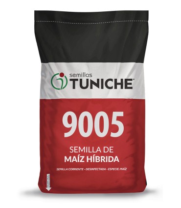 Semilla de Maíz tuniche 9005 desinfectada