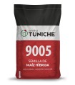 Semilla de Maíz tuniche 9005 desinfectada