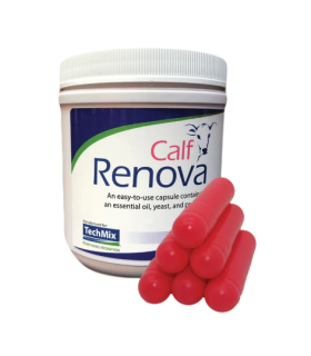 Calf Renova pote 36 unidades