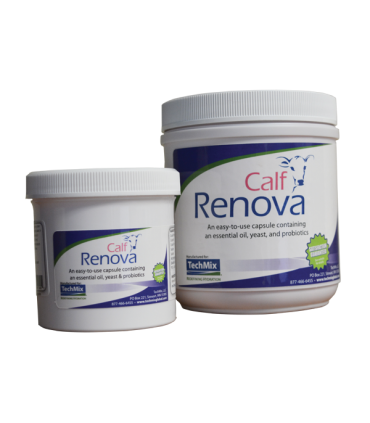 Calf Renova Pote 12 Unidades