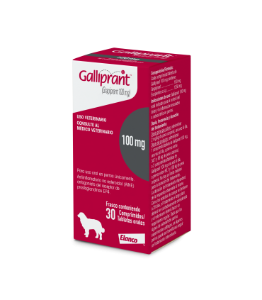 Galliprant 100 mg - 30 Comprimidos