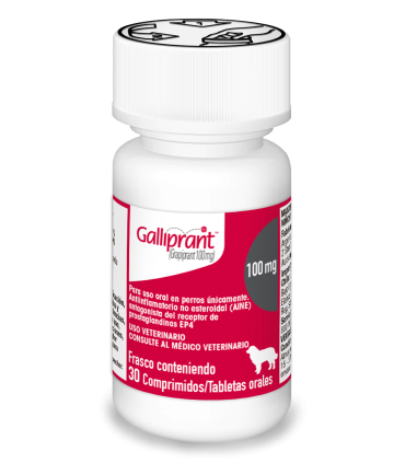 Galliprant 100 mg - 30 Comprimidos