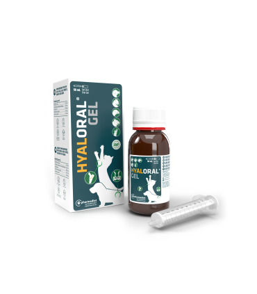 Hyaloral Gel - 50 ml