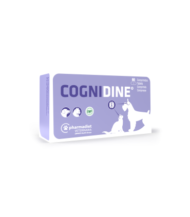 Cognidine 57,6 grs - 60 Comprimidos