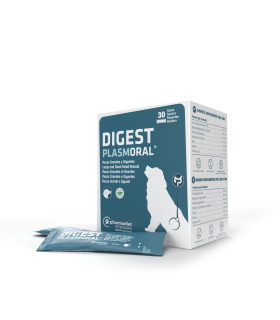 Digest Plasmoral Raza Grandes y Gigantes - 30 sobres