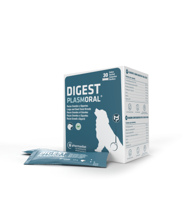 Digest Plasmoral Raza Grandes y Gigantes - 30 sobres