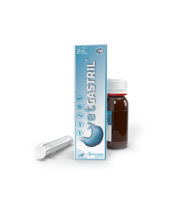 Vetgastril Gel - 20 ml