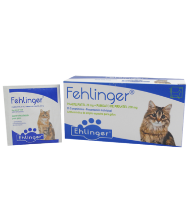 Fehlinger 1 Comprimido