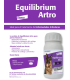 Equilibrium Artro - 60 comprimidos