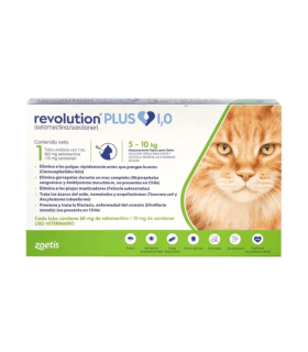 Revolution plus pipeta de 1 ml para gatos de 5-10 kgs