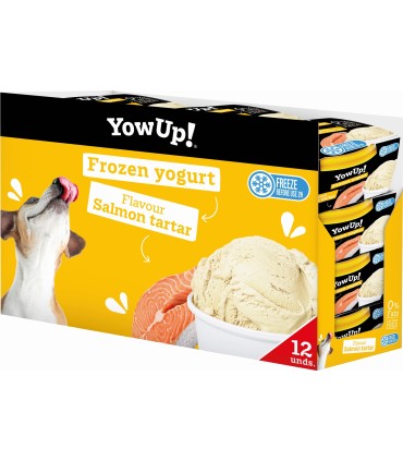 Helado Yow Up Salmon Tartar 110 grs
