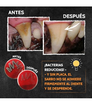 Qchefs Dental Snack Granulado Perro 90 grs