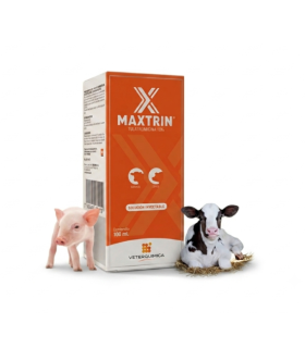 Maxtrin -  Tulatromicina 10%