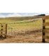Puerta galvanizada Gallagher 1 X 4,27m