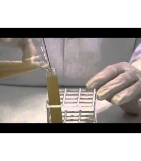 Diagnóstico De Enfermedades Parasitarias Del Bovino