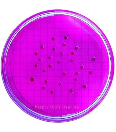 Coliformes Fecales En Agua