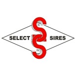 SELECTSIRES